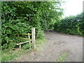 Elmstone Hole Road and the Greensand Way