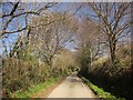 West Devon Way near Walreddon