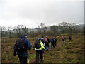 Llwybr Glan yr Ynys Path