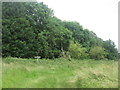 Footpath/bridleway junction west of Spring Wood