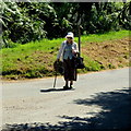 Heading for the bus stop