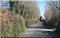 Lane north of Brook Farm