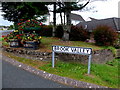 Floral display, Brook Valley