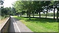 Cycle path and trees beside Simonsway