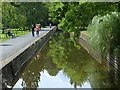 Tavistock Canal