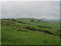 View from Haddings Head