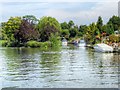 Wraysbury, River Thames