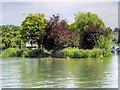 Thames River Bank near Wraysbury