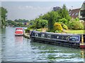 Narrowboat on the Thames, Friary Island