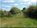 Farm track to Chinthurst farm