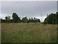 Power lines and woodland