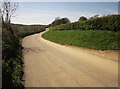 Road near Hartshole Farm