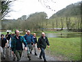 Llwybr Black Bush Path