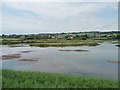 SY2591 : Southern side, Black Hole Marsh, Axe Estuary wetlands by Christine Johnstone