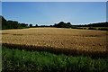 Farmland to the north of the A1079