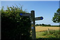 Finger post near Millfield Wood