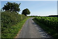 SE6952 : Road leading to Londesborough Lodge Farm by Ian S