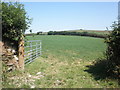 Field, east of Wheatly Lane