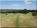 Bridleway to Burley in Wharfedale, near Stead