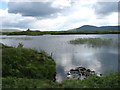 L9746 : Loughanillaun (Loch an Oileain) by David Purchase