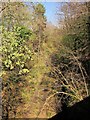 Dismantled railway line at Rumleigh Bridge