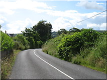 W8699 : Minor road east of Clondulane by David Purchase
