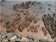 SY1286 : Wave-cut platform at low tide, Chits Rock, Sidmouth by Christine Johnstone