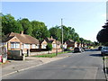 Concord Avenue, Davis Estate, Chatham