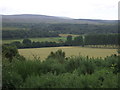 Farmland, Drummossie Muir