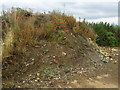 Rubble heap and Poppies