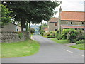 Road  into  Thornton  Steward  village  from  Back  Lane