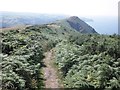 Coastal path to Combe Martin