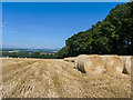 Bales for winterfeed