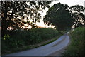 Mid Devon : Country Lane