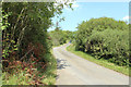 Road to Kirkoswald near Ladywell Wood