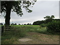 Track  to  Dockeray  Bank  Plantation  from  Moor  Lane