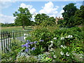 View from the garden in Little Wormwood Scrubs