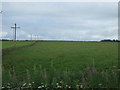 Farmland, Hillhead of Thomaston