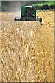 North Devon : Crop Field & Combine Harvester