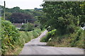 North Devon : Country Lane