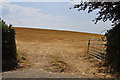 North Devon : Grassy Field