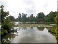 TQ4124 : Ten Foot Pond - Sheffield Park by Paul Gillett