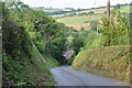 North Devon : Country Lane