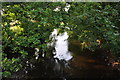 North Devon : River Mole