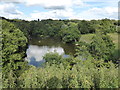 Breaches Pool, Halesowen