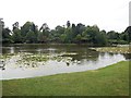 TQ4123 : Middle Lake - Sheffield Park by Paul Gillett