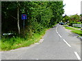 Looking east on Chapel Lane from the junction with Cemetery Pales