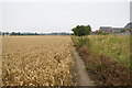 Footpath leading to Sherburn-in-Elmet