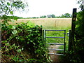 SU9555 : Path leaves woodland near White's Farm by Shazz
