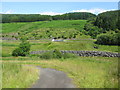 Farm Track beside the B7076